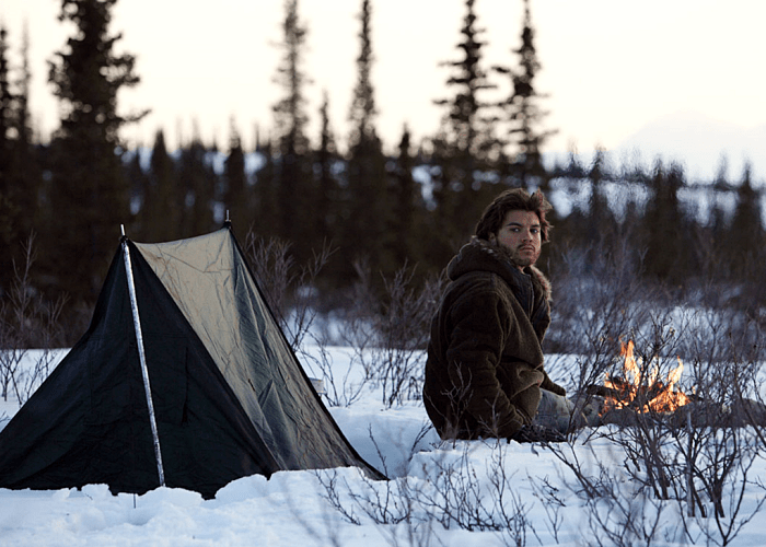 Into The Wild