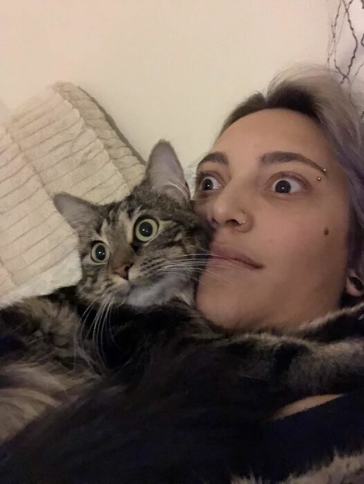 Gatos dramáticos