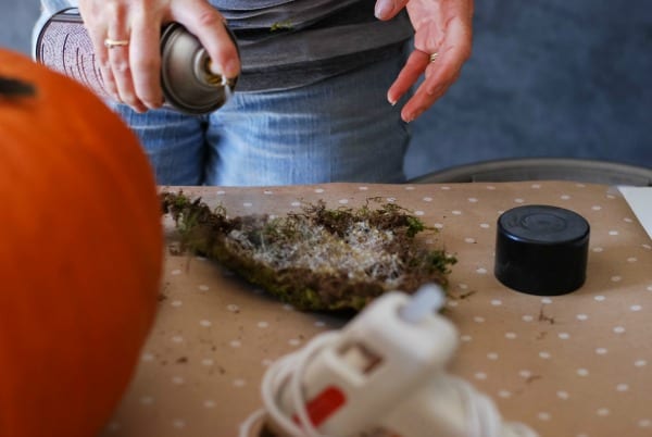 Decoración de otoño de calabazas con suculentas (4)