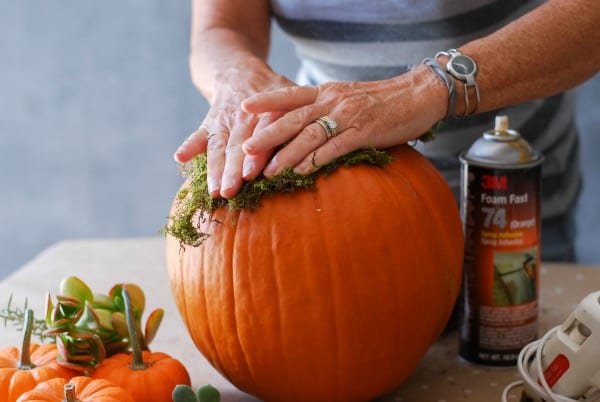 Decoración de otoño de calabazas con suculentas (4)