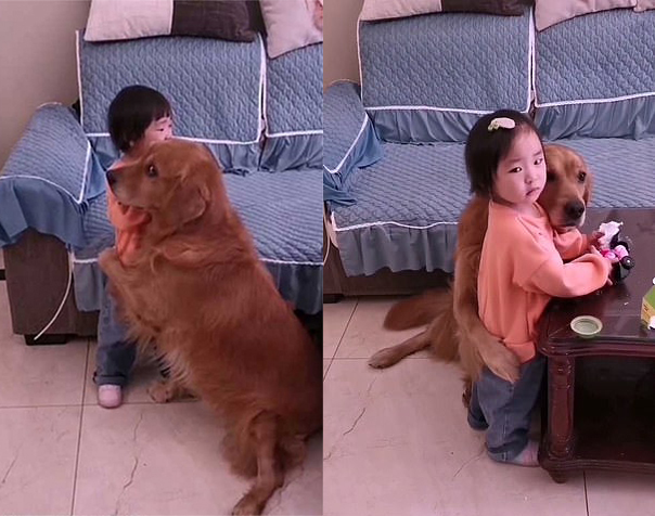 Perrito abrazando a su dueña después de que fuera regañada 