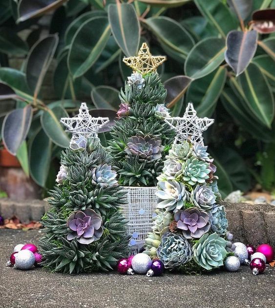 Árboles de navidad hechos con suculentas