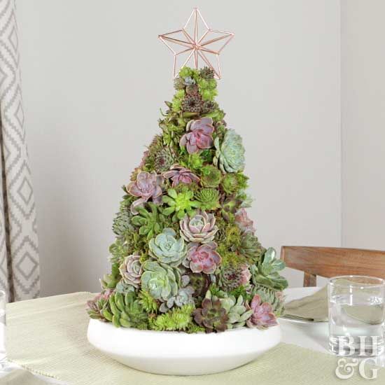 Árboles de navidad hechos con suculentas