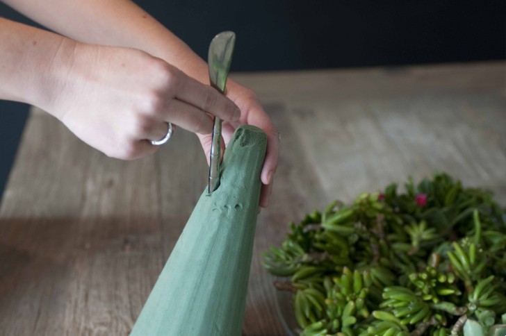 Instrucciones para hacer un árbol de Navidad de suculentas