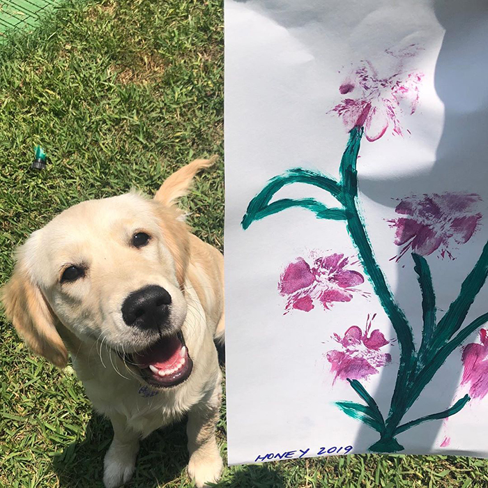 Peritos crean pinturas son tus patas