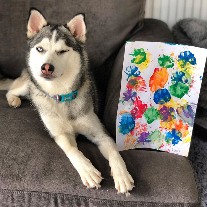 Peritos crean pinturas son tus patas