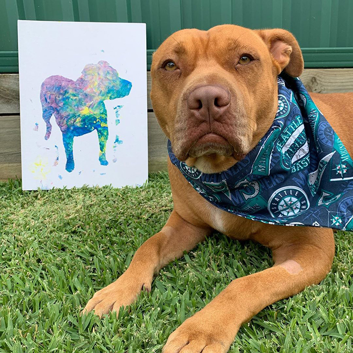 Peritos crean pinturas son tus patas