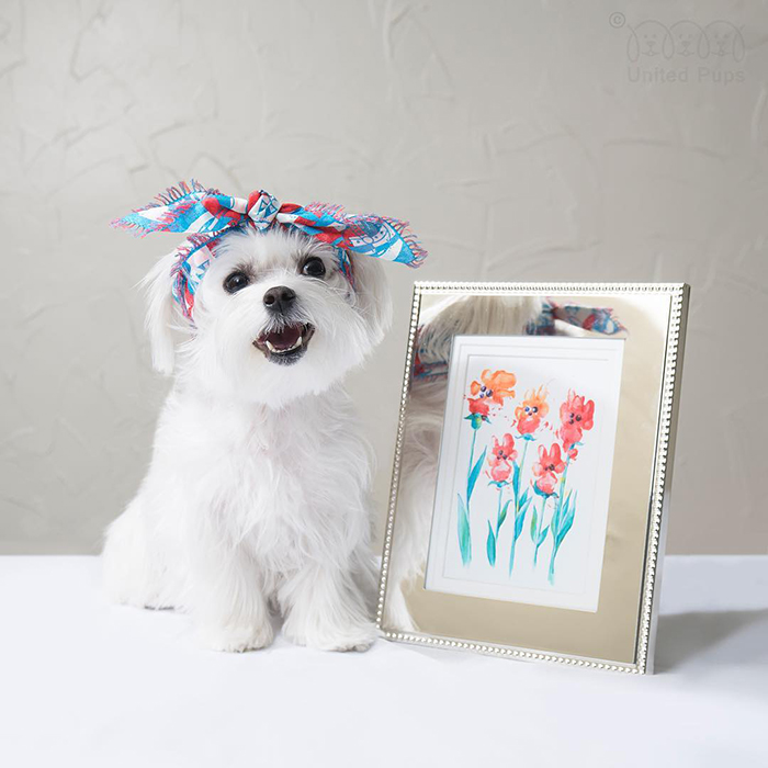 Peritos crean pinturas son tus patas
