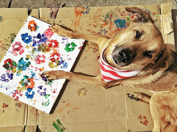 Peritos crean pinturas son tus patas