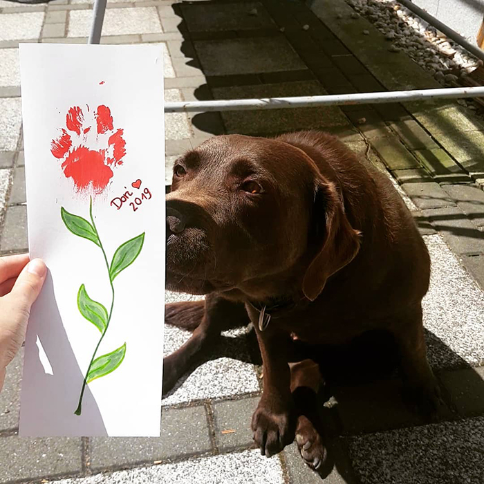 Peritos crean pinturas son tus patas