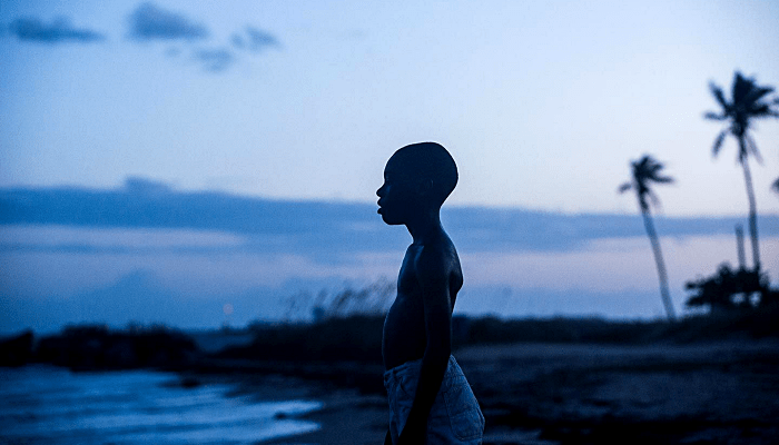 moonlight