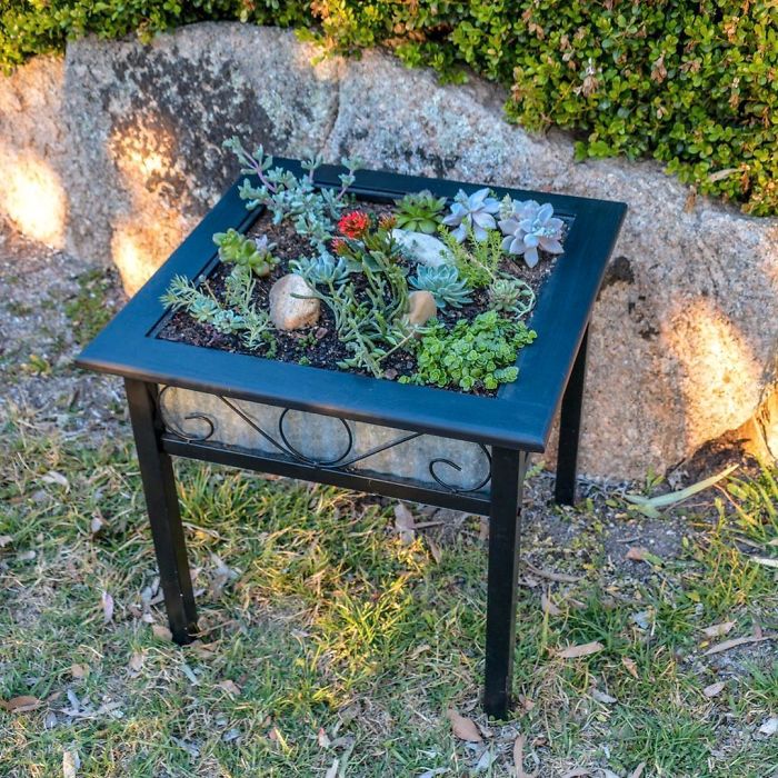 Mesas decoradas con suculentas