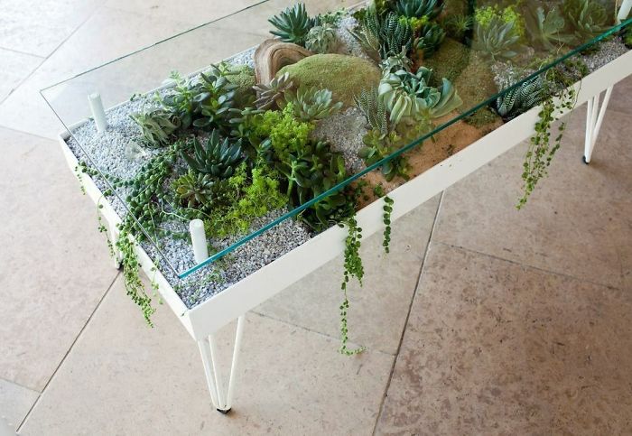 Mesas decoradas con suculentas