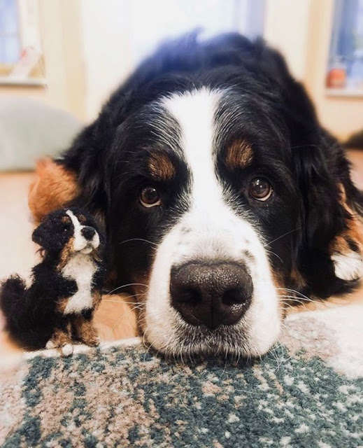 Perritos con sus versiones hechas de fieltro