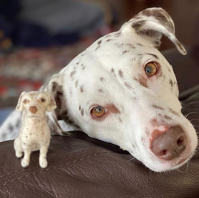 Perritos con sus versiones hechas de fieltro