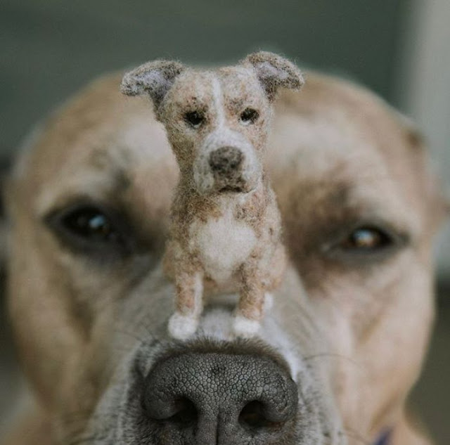 Perritos con sus versiones hechas de fieltro