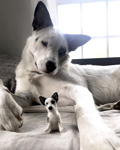 Perritos con sus versiones hechas de fieltro