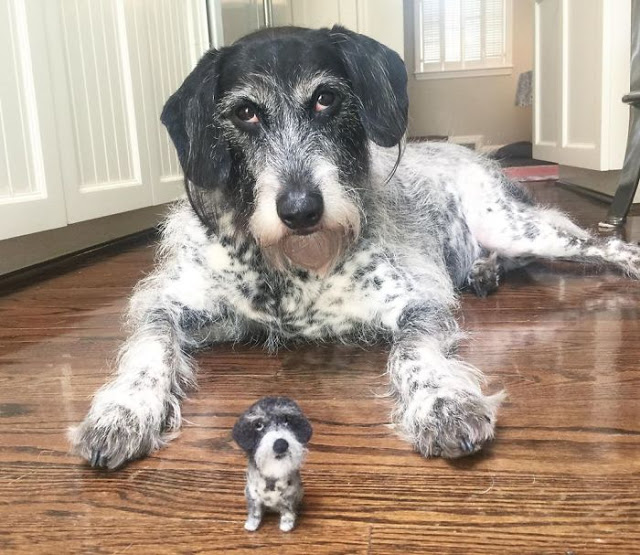 Perritos con sus versiones hechas de fieltro