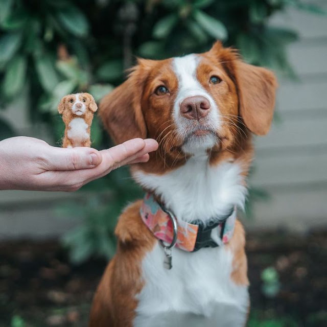 Perritos con sus versiones hechas de fieltro