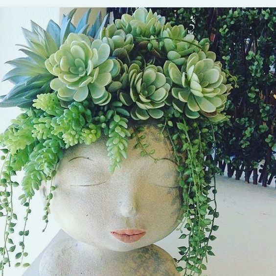 Maceta en forma de rostro con plantas suculentas colgantes