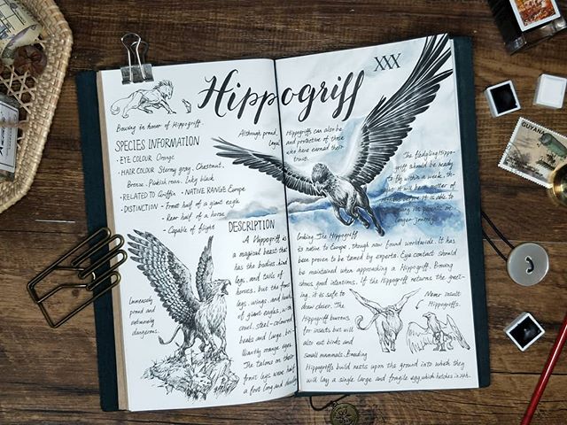 Ilustración del artista hazelnut_lz, inspirada en las criaturas mágicas de Harry Potter, Hipogrifo