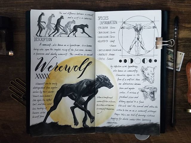 Ilustración del artista hazelnut_lz, inspirada en las criaturas mágicas de Harry Potter, Hombre lobo