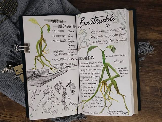 Ilustración del artista hazelnut_lz, inspirada en las criaturas mágicas de Harry Potter, Bowtruckle