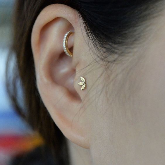 Tragus piercing de tres hojas