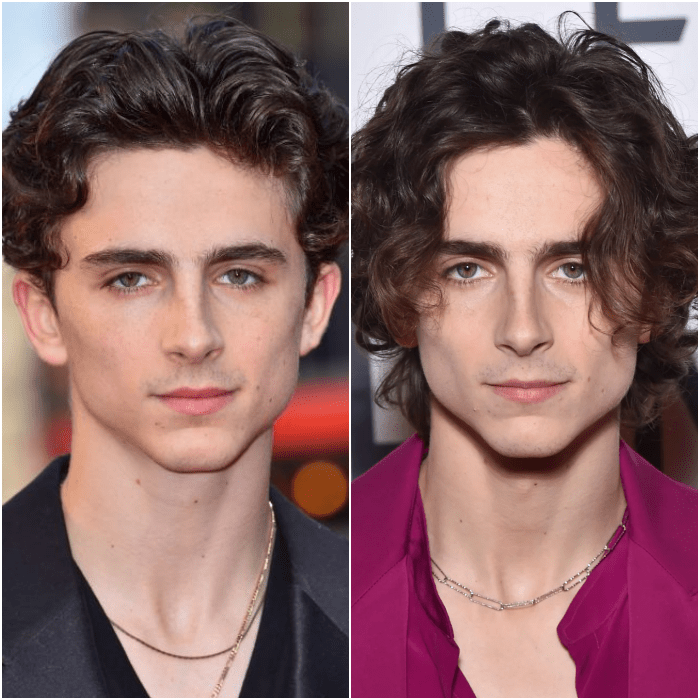 timothée chalamet cabello largo cabello corto