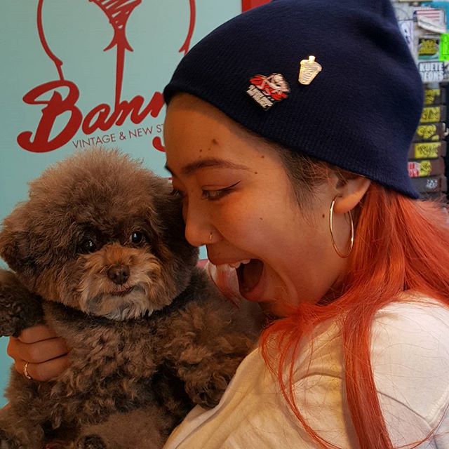 Kokoro perrito café esponjoso