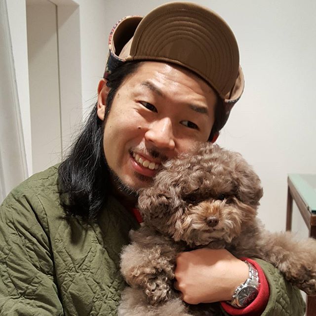 Kokoro perrito café esponjoso