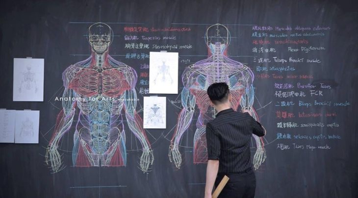 Chuan-Bin Chung, ilustrador y profesor de anatomía, dibujando el sistema musculoso humano
