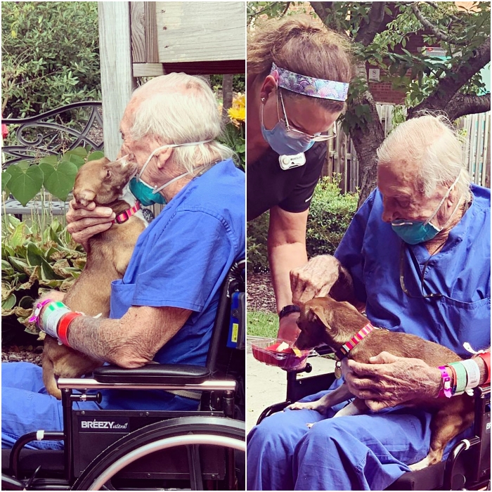 rudy armstrong y su perrita boo-boo