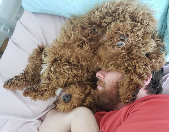 Hombres que "no querían mascotas en casa"