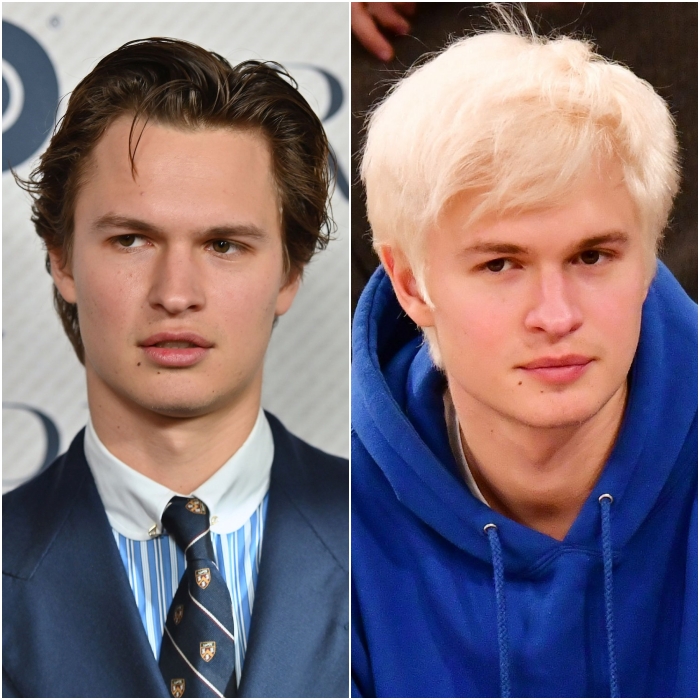 ansel elgort