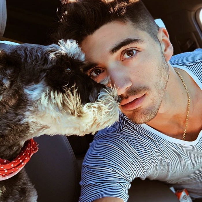 taylor zakhar perez