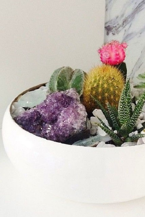 Terrario con cactus y algunos cuarzos morados