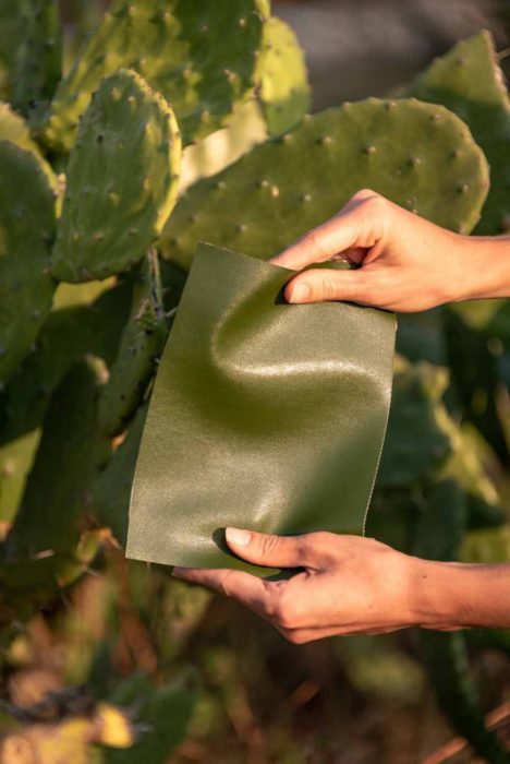 Cuero de nopal