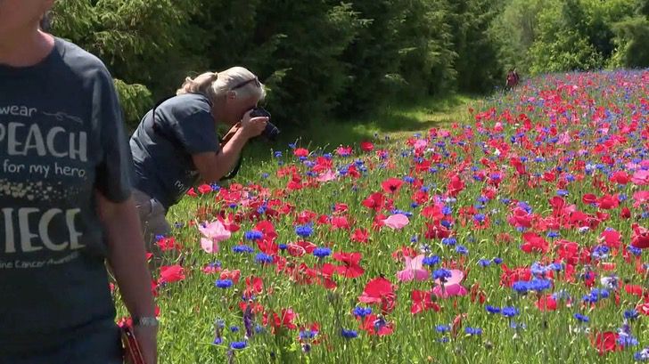 Mujer tomando fotos en un campo de amapolas