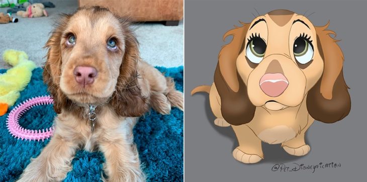 Dibujo 'Disneyficado' de una cocker de ojos azules