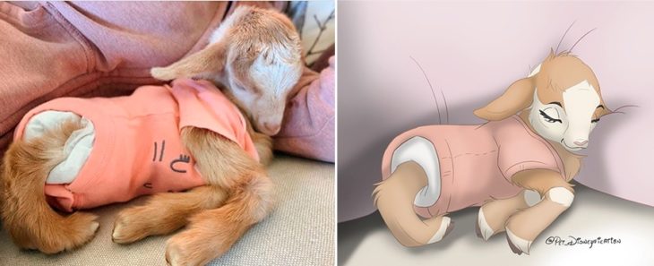 Dibujo 'Disneyficado' de una cabra bebé durmiendo