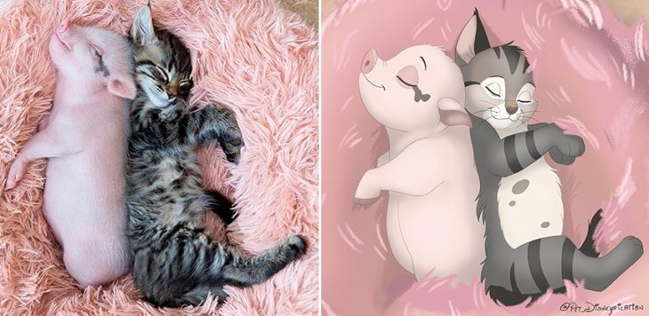 Dibujo 'Disneyficado' de un cerdito y un gatito durmiendo