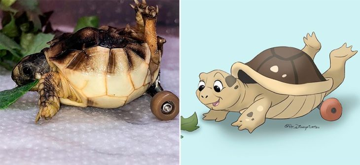 Dibujo 'Disneyficado' de una tortuga comiendo verduras