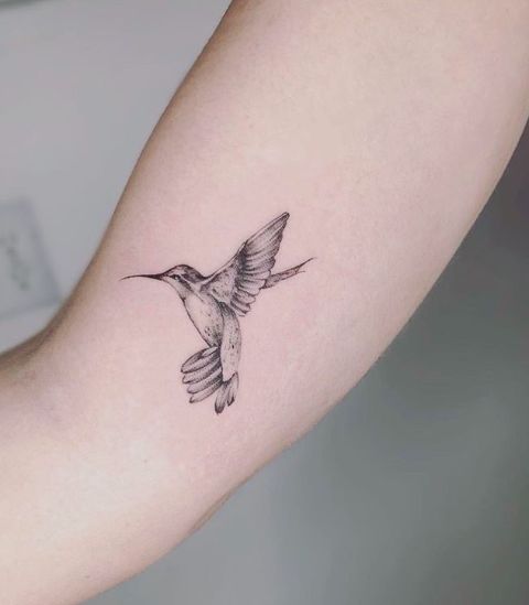 Tatuaje tinta negra colibrí en el brazo
