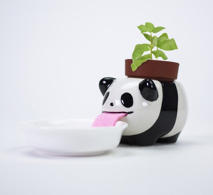Maceta de panda que bebe agua