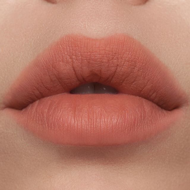 Labios grandes con labial mate