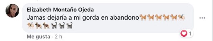 Comentarios en Facebook sobre hombre de 90 años que lleva a su perro al veterinario