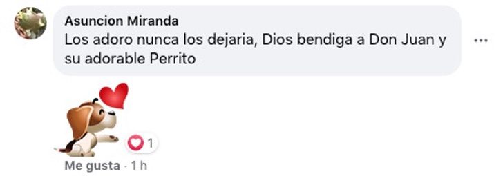 Comentarios en Facebook sobre hombre de 90 años que lleva a su perro al veterinario