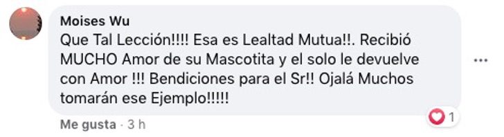 Comentarios en Facebook sobre hombre de 90 años que lleva a su perro al veterinario