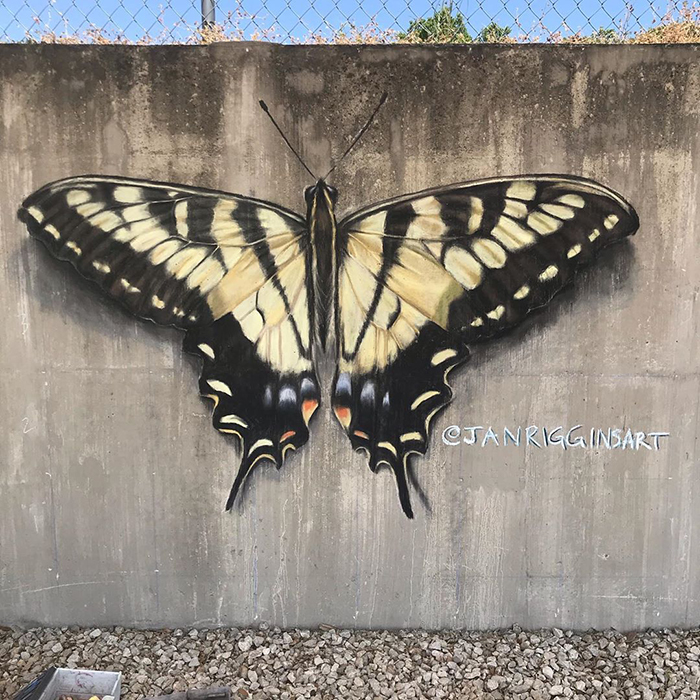Mariposa dibujada con tiza
